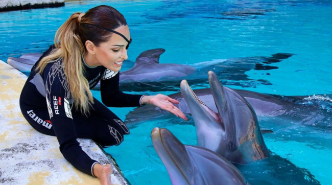 Gessica Notaro torna a esibirsi con i delfini dopo 12 anni