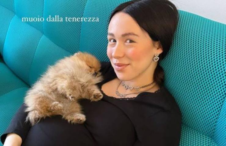 Aurora Ramazzotti, prove generali prima del parto con il piccolo cagnolino: Â«Che tenerezzaÂ»